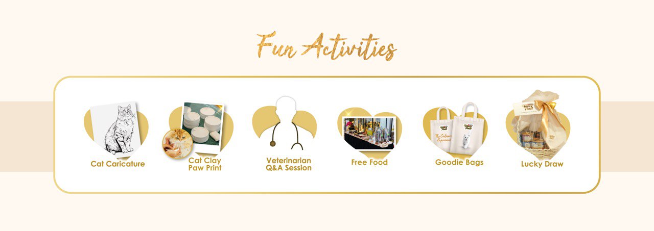 Fun Activities Banner
